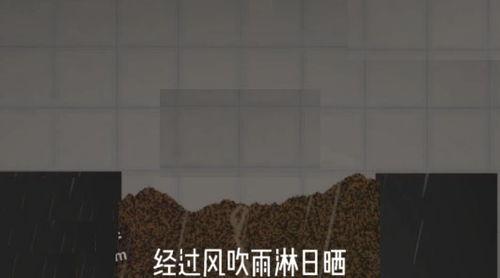 甜瓜娱乐场最新爆料 第1张 甜瓜娱乐场最新爆料 第1张