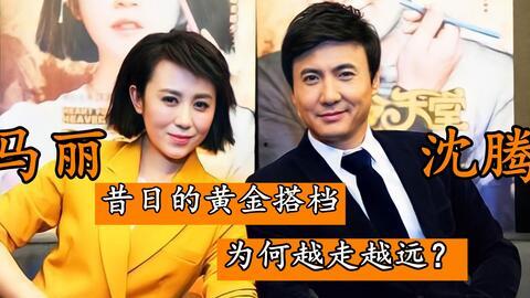 马丽老公爆料事件视频,揭秘娱乐圈背后的真相 第2张 马丽老公爆料事件视频,揭秘娱乐圈背后的真相 第2张