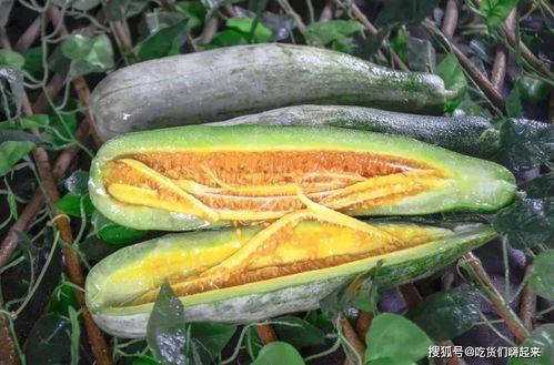 沛县网红吃瓜,一场视觉与味蕾的双重盛宴 第3张 沛县网红吃瓜,一场视觉与味蕾的双重盛宴 第3张